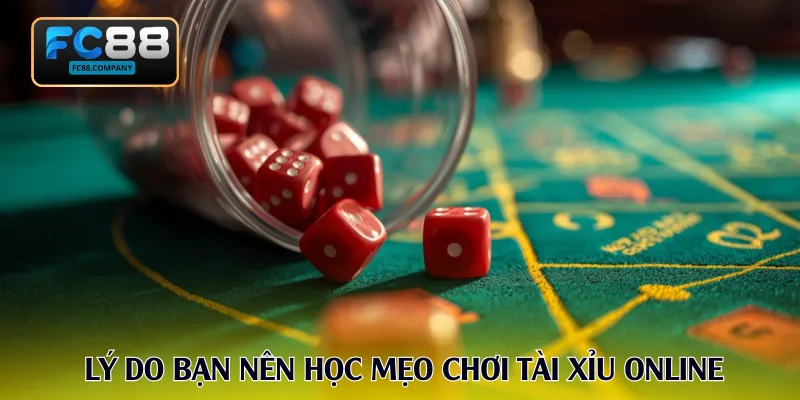 Lý do bạn nên học mẹo chơi tài xỉu online