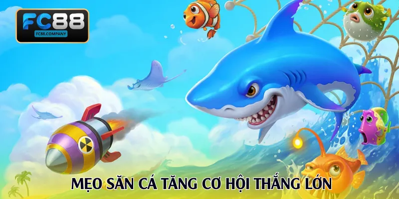 Mẹo săn cá tăng cơ hội thắng lớn