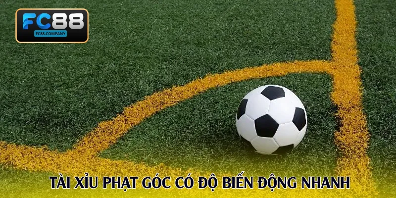 Tài Xỉu phạt góc có độ biến động nhanh
