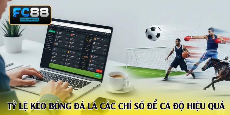 Tỷ lệ kèo bóng đá là các chỉ số dùng để cá độ hiệu quả